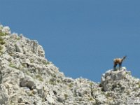 2026-06-13 Da m. San Nicola al Sirente 151